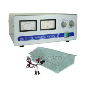DY-300 Electrophoresis Machine