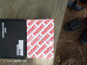 AVR, Without AVR No Generator Can Produce Light