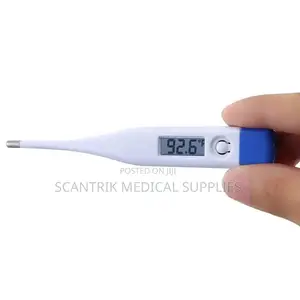 Portable Temperature Checker