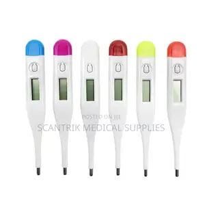 Pocket Size Thermometer