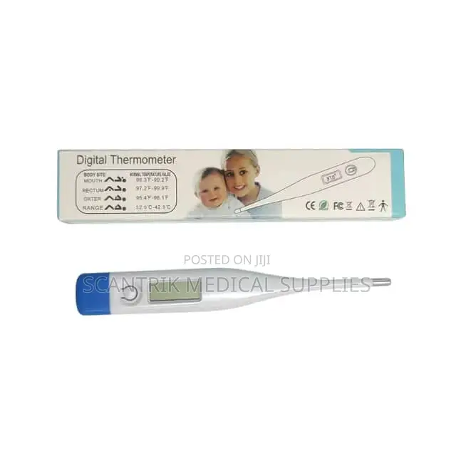 Family Friendly Thermometer