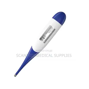 Quick, Pen Style Thermometer