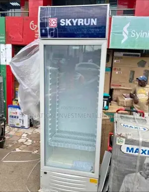 318l Brand New Skyrun Upright Chiller Premium Quality