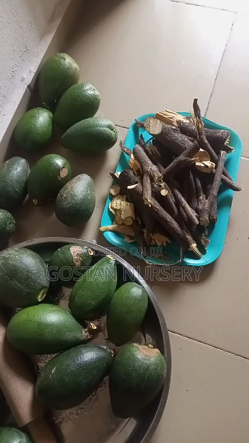 OSU Fruit and Seedlings Available