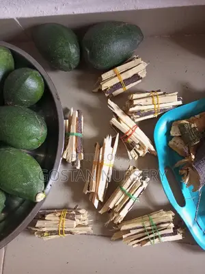 OSU Fruit and Seedlings Available