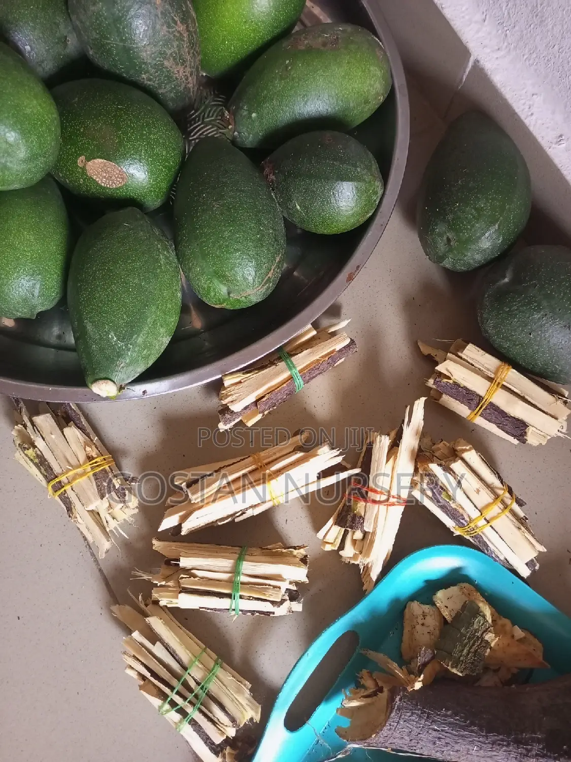 OSU Fruit and Seedlings Available