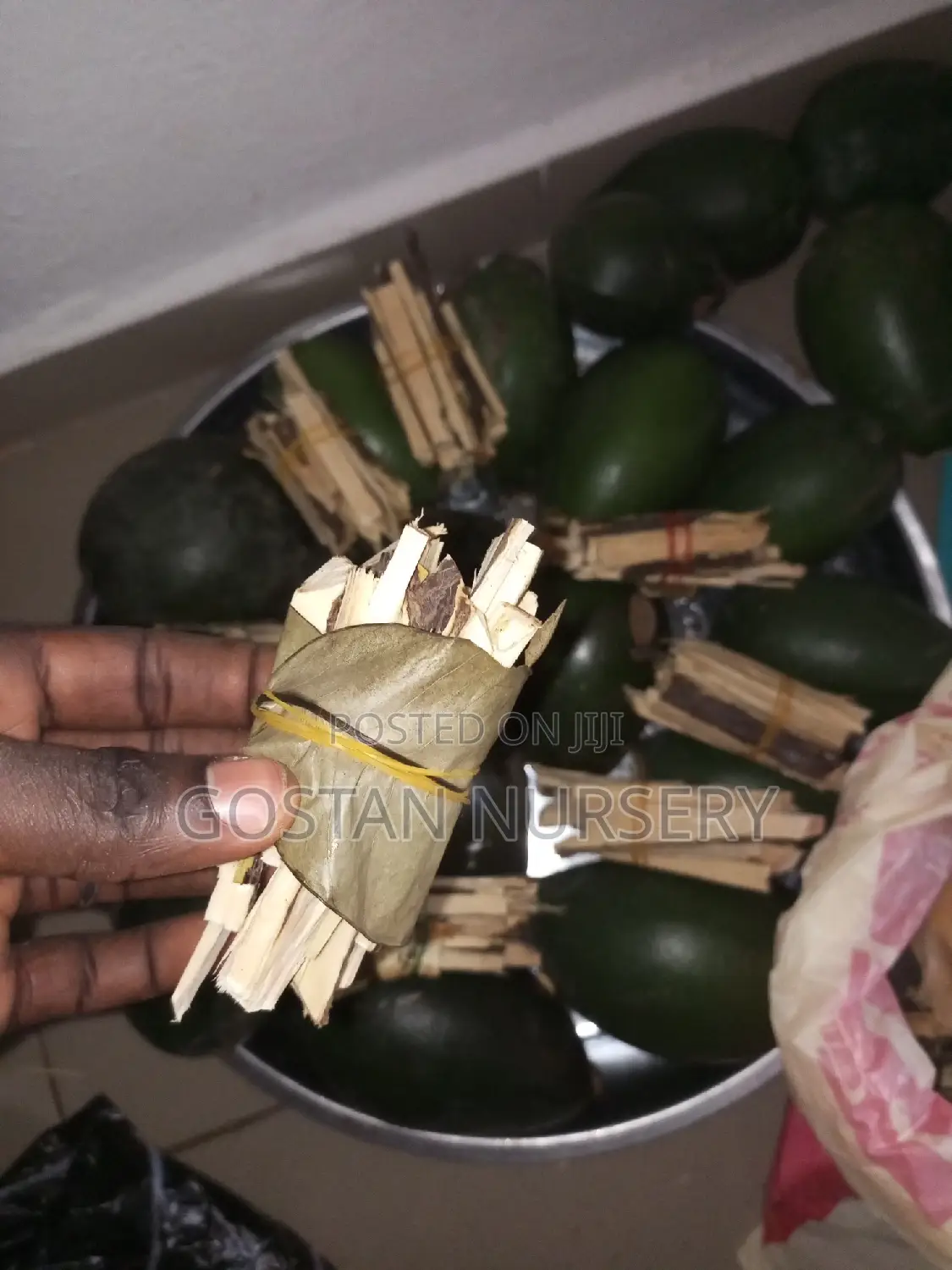 OSU Fruit and Seedlings Available