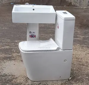 Executive Wc Set With Basin and Pedestal 0013