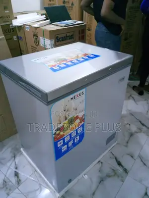Popular Nx-160h Chest Freezer With Removable Basket