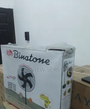 Non Rechargeable 18''inches Standing Far Binatone TS-1880