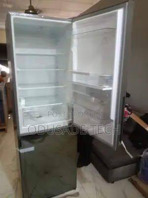 Fast Freezing Hisense 308dr 300l Double Door Refrigerator