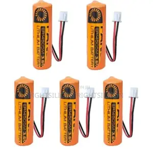 USA 1pc Fanso Er14505m 3.6V 2200mah Battery Wit Plug