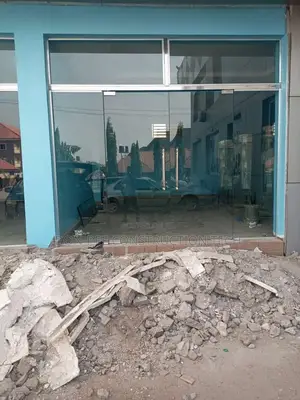 Frameless Glass Doors
