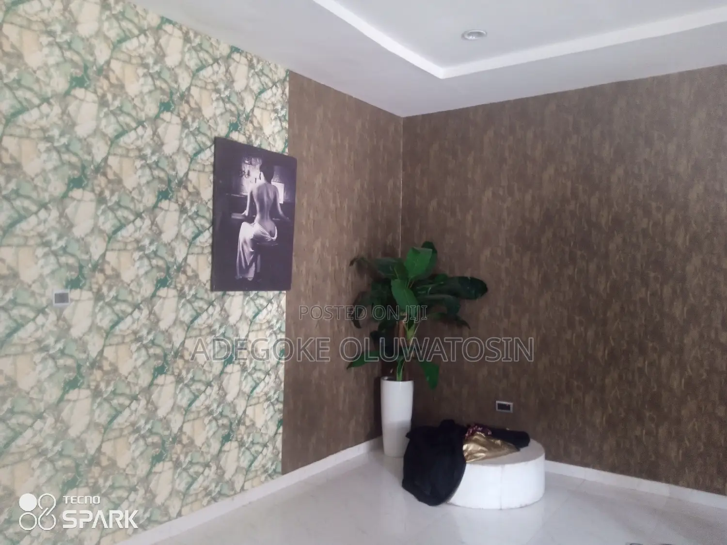 Professional House Painter and Interior Decorator