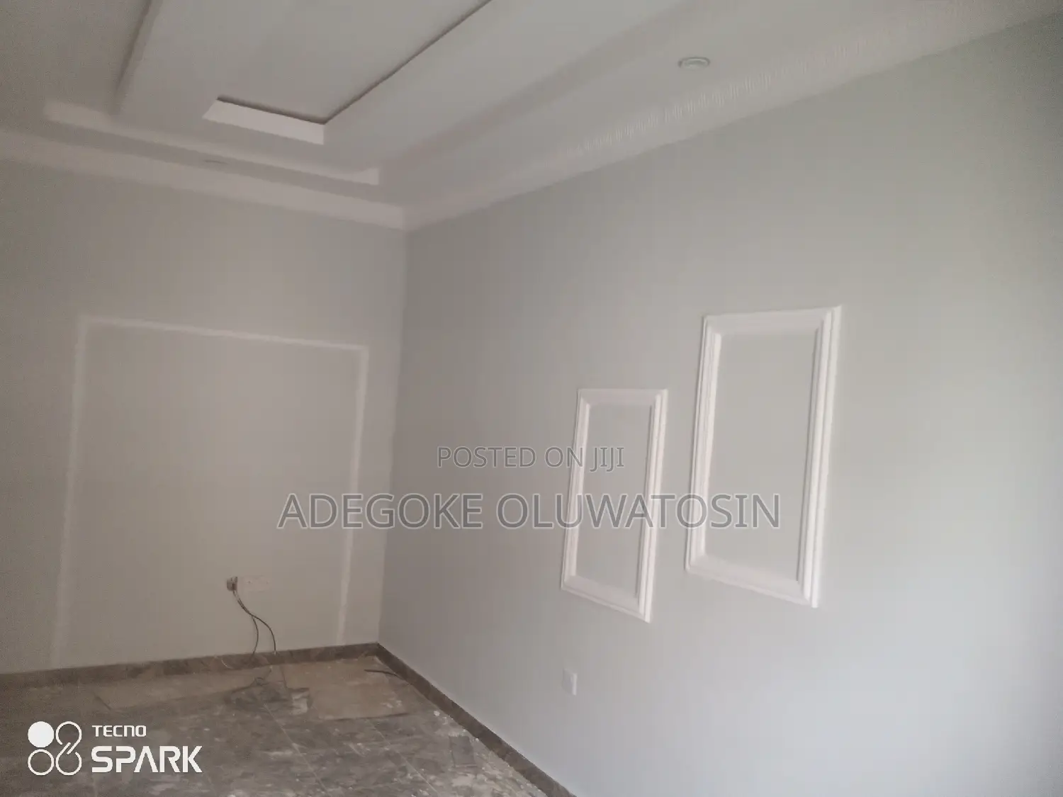 Professional House Painter and Interior Decorator