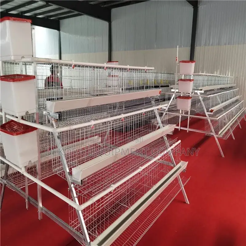 96-bird Galvanized Cage: 20 Years Long-lasting Durable