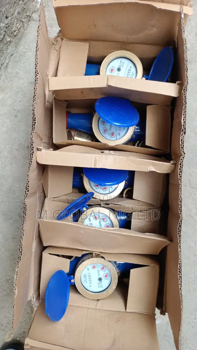2" Water Meter