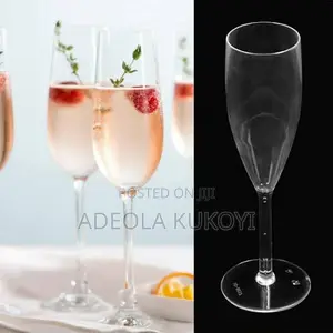 Acrylic Champagne Cup