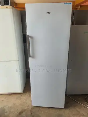 Beko Standing Freezer
