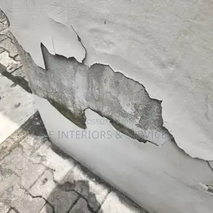Wall Treatments