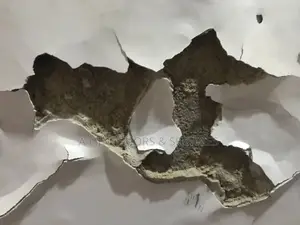 Wall Restoration
