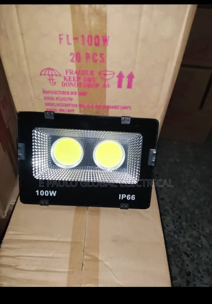 100watts 2eyes Security Flood Light