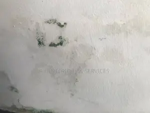 Wall Remedy
