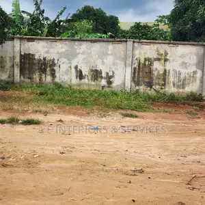 Wall Treatments and Repairs