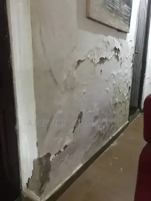 Damp Wall Treatments