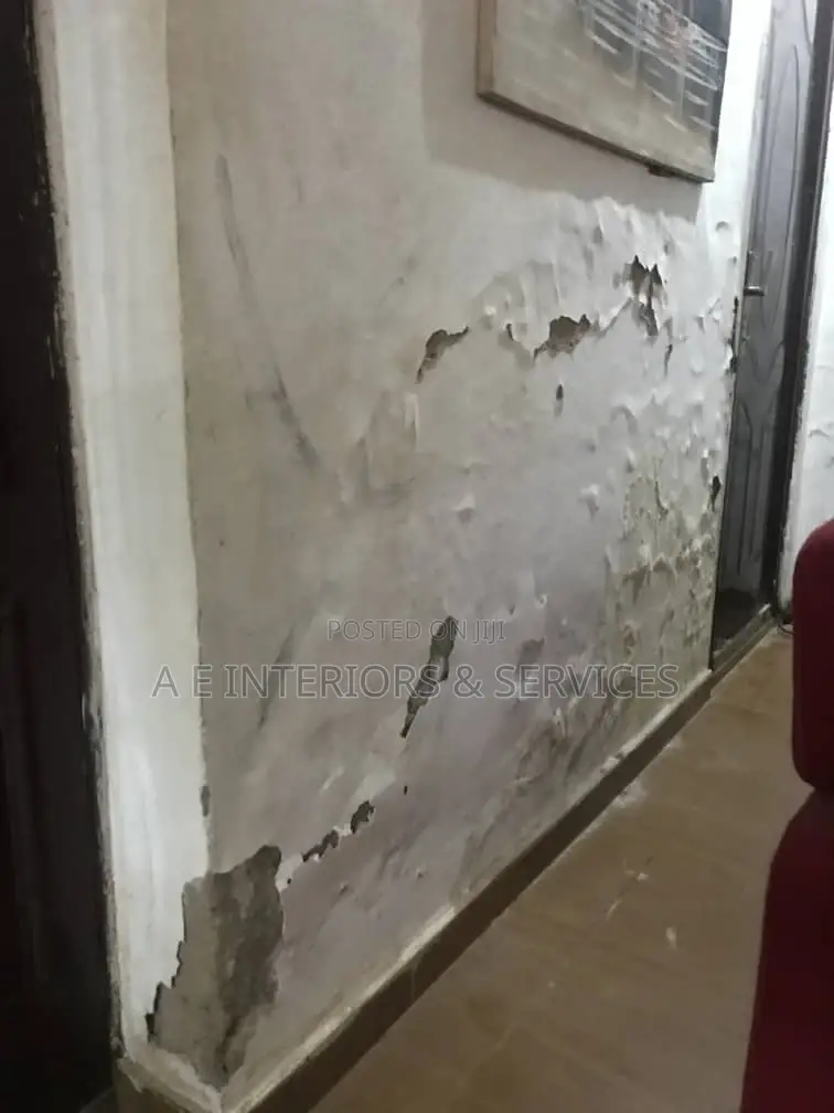 Damp Wall Treatments