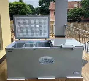 Bruhm Double Door Deep Freezer