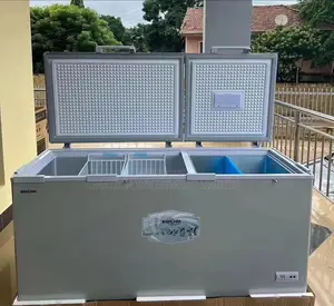 Bruhm Double Door Deep Freezer