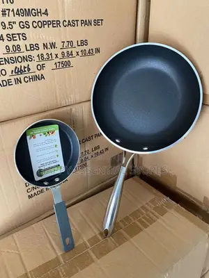 2in1 Gotham Steel Fry Pan.