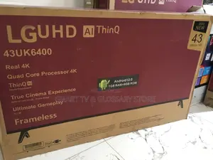 LG 43 Inches DC/AC Solar Inverter Tv