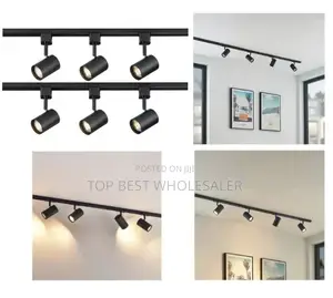 Luxury Homes Led Track Light 3in1