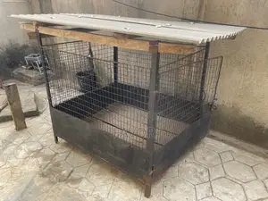 Photo - Galvanized Dog Cage With Asbestos Roofing.