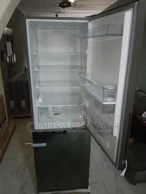 Good Hisense 308dr 300l Double Door Refrigerator
