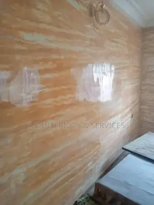 Stucco Painting and Wall Design