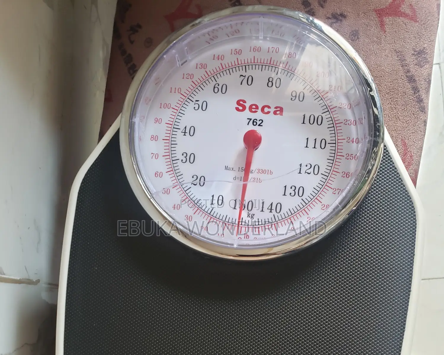 Seca Scale