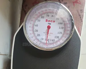 Seca Scale