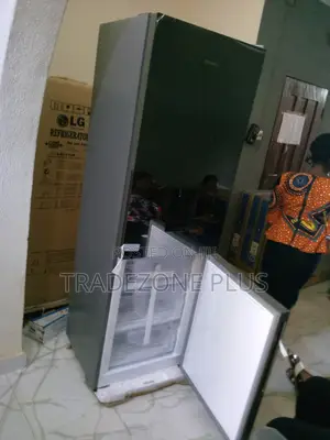 Quality Bottom Freezer 305L Hisense Refrigerator