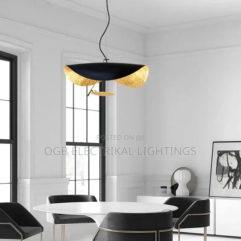 Curved Surface Pendant Lights