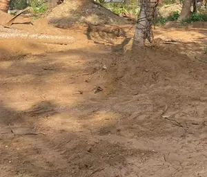 A Fenced 1,700sqm Land