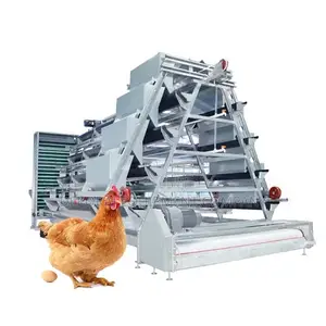 Boost Egg Production With Our 20-Year Auto Battery Cage
