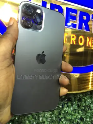 Apple iPhone 12 Pro Max 128 GB Gray