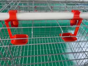 160-Bird Cage: The Ideal Choice for Poultry Farmer