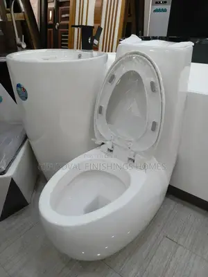 High Quality Water Closet With Stand Alone Basin