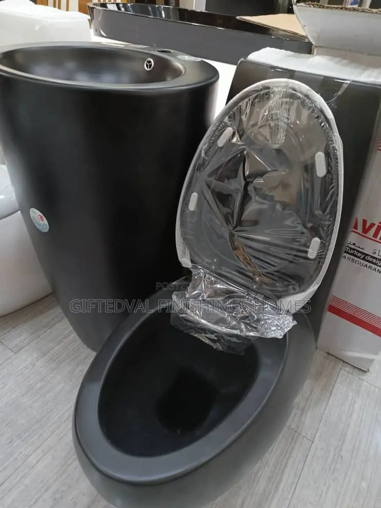 High Quality Water Closet With Stand Alone Basin