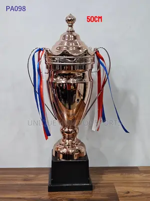 Bronze Cup