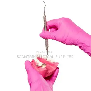 Powder Free Nitrile Gloves.